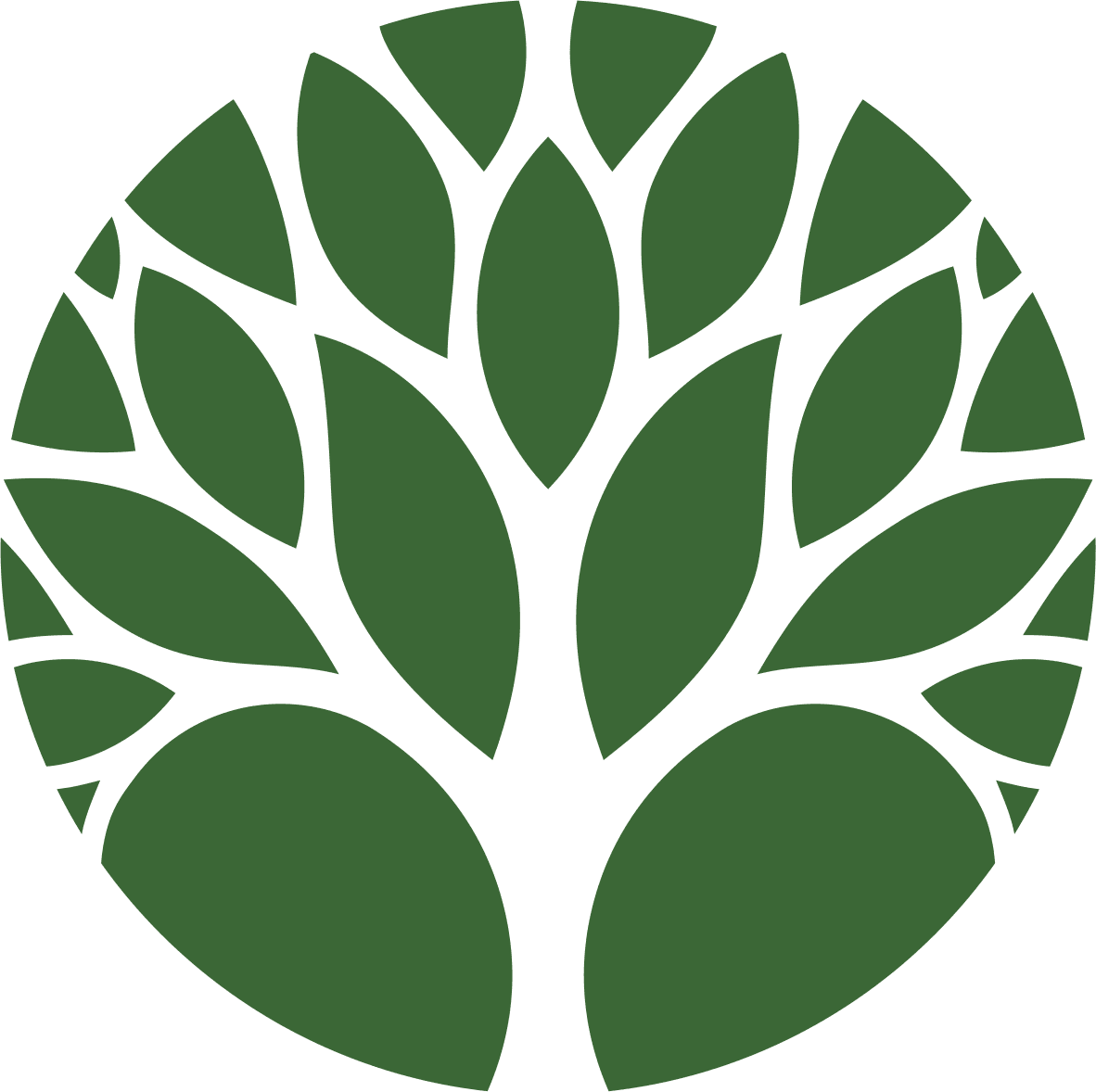 Ботанический сад